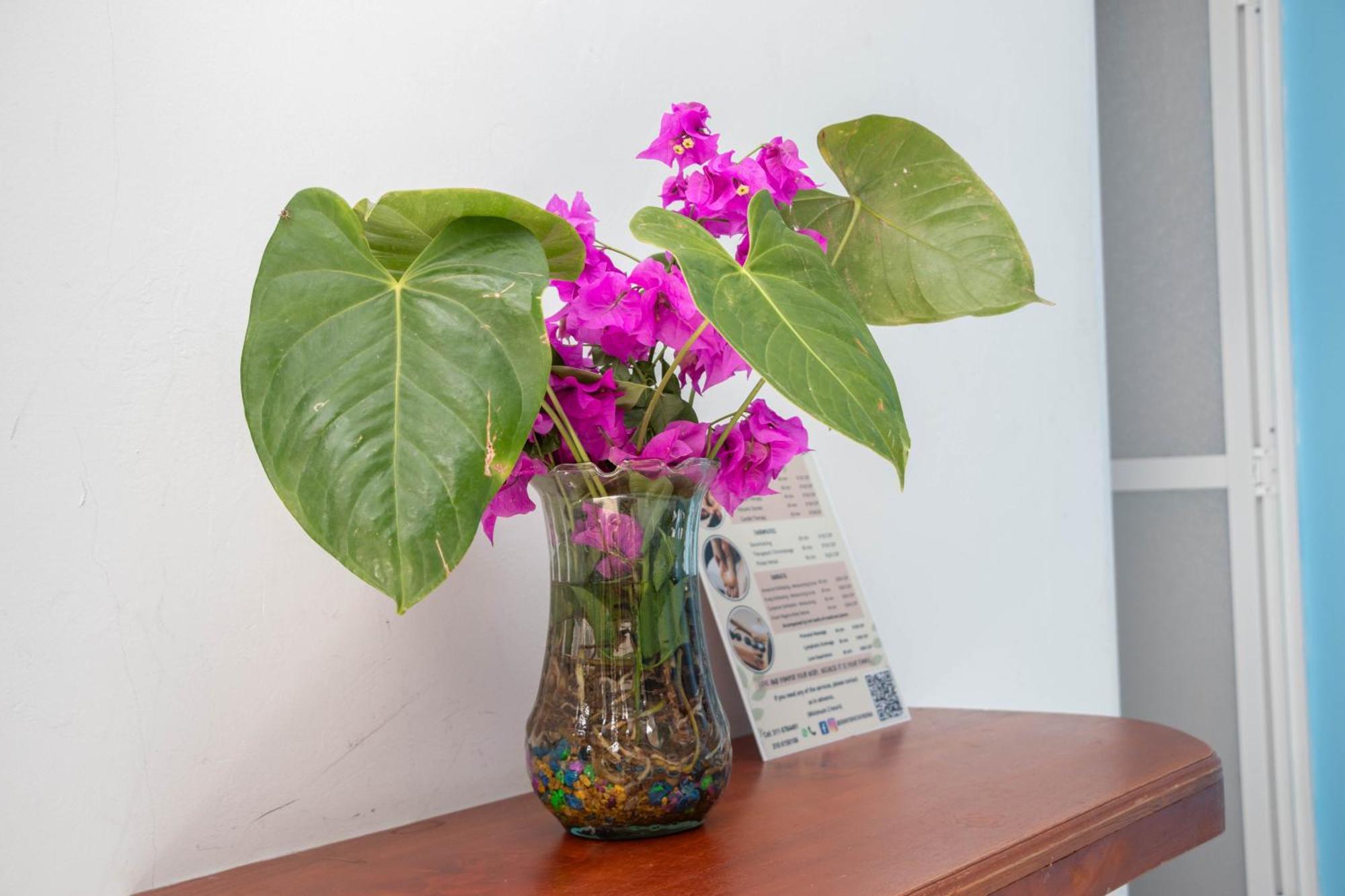 Hotel Manakin Tayrona El Zaino Luaran gambar