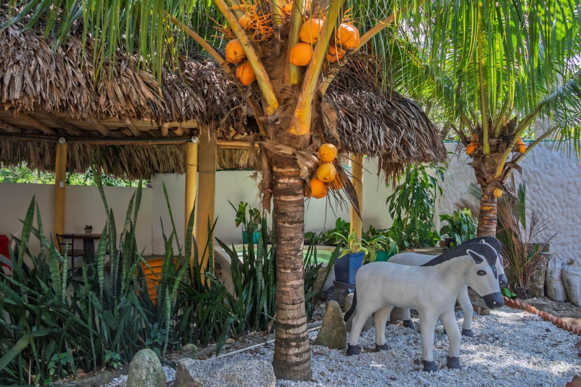 Hotel Manakin Tayrona El Zaino Luaran gambar